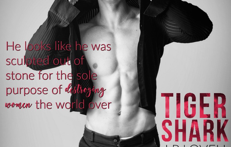 New Release ~ His Last Ride ~ by ~ Marcie&nbsp;Shumway