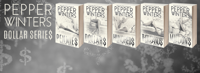 dollar series banner