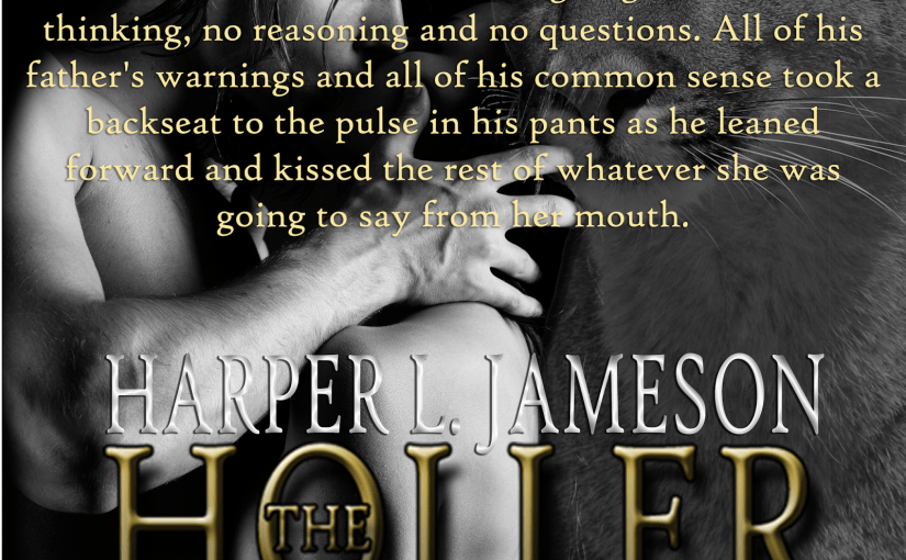 Cover Reveal ~ Knocked Up: A Secret Baby&nbsp;Collection