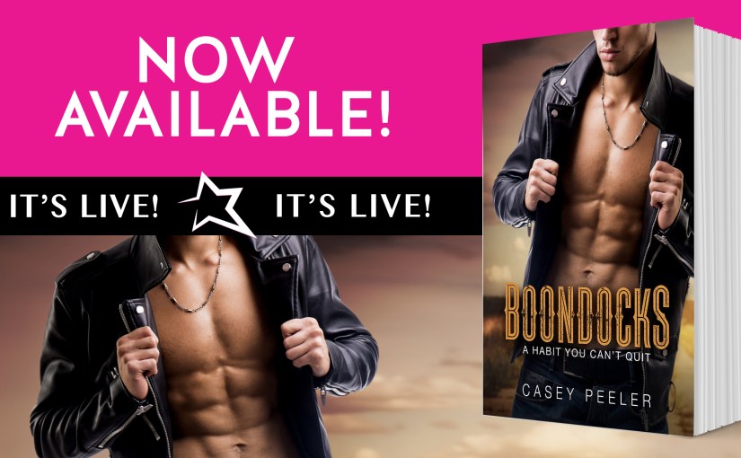 New Release ~ Perfect Summer ~ by ~ Bethany&nbsp;Lopez