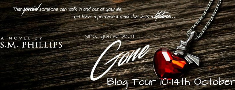Blog Tour & Review ~ Since You’ve Been Gone ~ by ~ S.M.&nbsp;Phillips