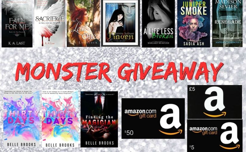 New Release ~ Perfect Distraction ~ by ~ Fiona&nbsp;Keane