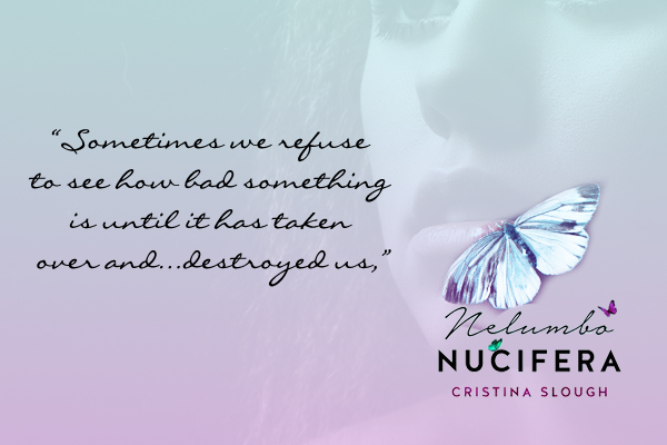 Book Tour ~ A Vampire’s Choice: Richard & Strawberry’s Story ~ by ~ K.&nbsp;Lewis