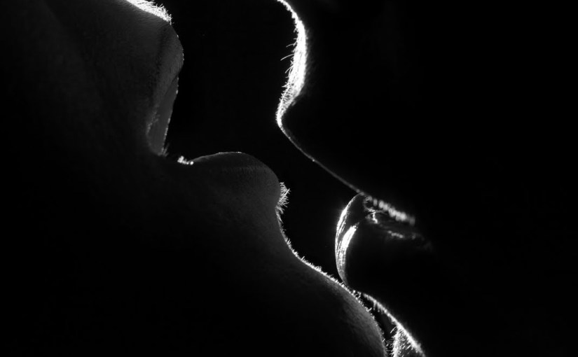 New Release ~ The Book Boyfriend ~ by ~ Kate&nbsp;Stacy