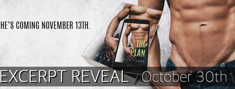 Excerpt Reveal ~ The Plan ~ by ~ Ella&nbsp;James
