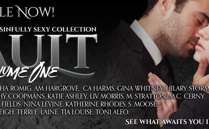 Release Blitz ~ The&nbsp;Vault