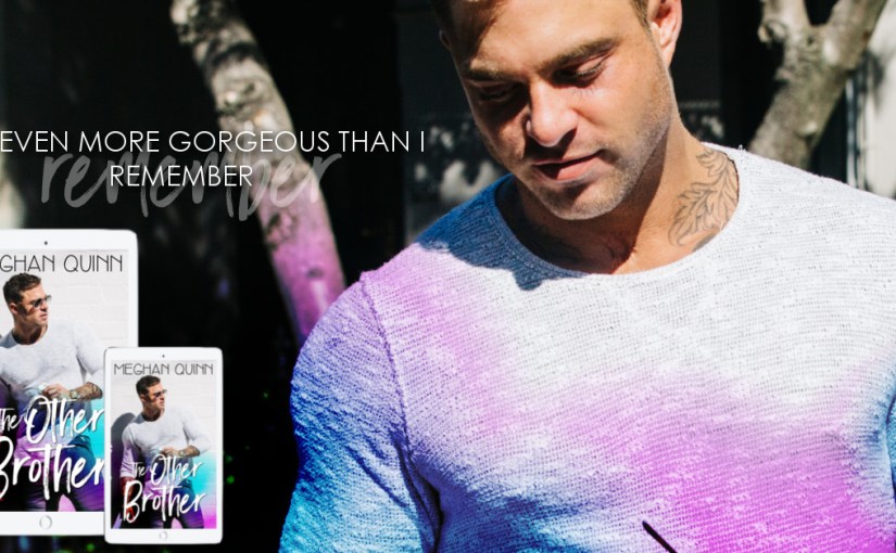 Blog Tour & Review ~ The Other Brother ~ by ~ Meghan&nbsp;Quinn